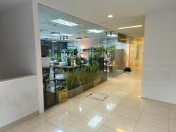 The Mezzo (D12), Retail #486332051